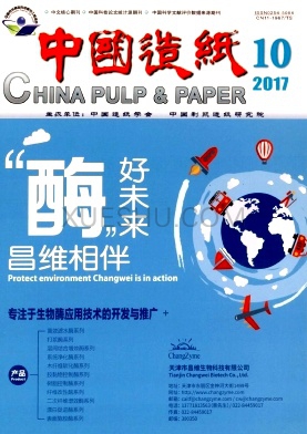 中国造纸