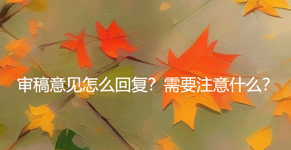 审稿意见怎么回复？需要注意什么？