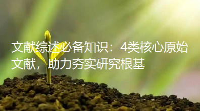 文献综述必备知识：4类核心原始文献，助力夯实研究根基