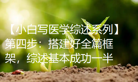 【小白写医学综述系列】第四步:搭建好全篇框架,综述基本成功一半 【小白写医学综述系列】第四步:搭建好全篇框架,综述基本成功一半